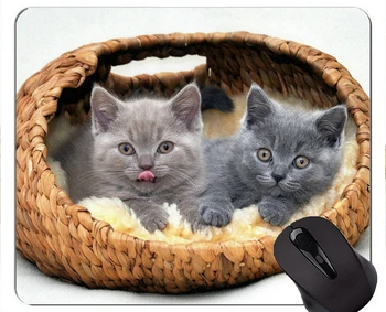 Игровой коврик для мыши на заказ, котенок животное, милый кот, аксессуары для домашнего офиса, компьютерные коврики для мыши