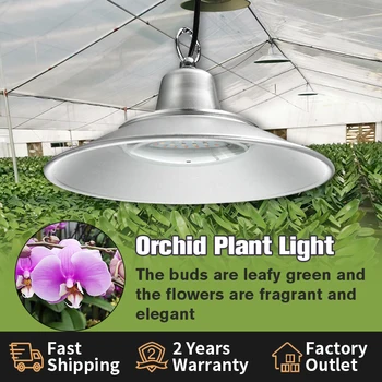 Светодиодная орхидея мощностью 50 Вт для выращивания светло-зеленого, красного и синего света в доме