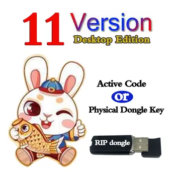 DTF RIP DTG UV Software Версии 11 Настольная Версия Ключа-Ключа Для Принтера Epson L1800 L805 R1390 XP-15000 P700 P900 DTF Версии 11